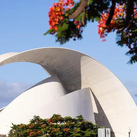 Home2book Bereber Cruz Center, Terrace *